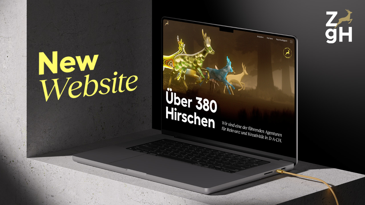 Hirschen Agency Work